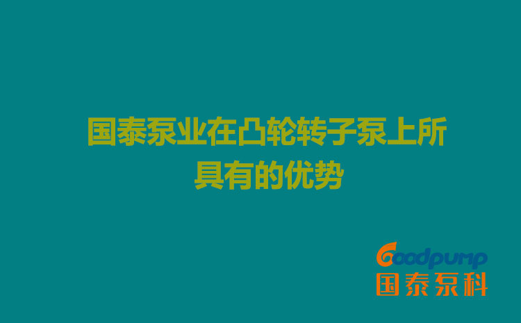 91视频网站下载泵業在凸輪91视频一区二区上所具有的優勢