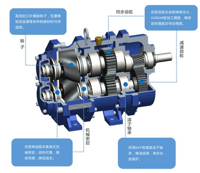 凸輪91视频一区二区結構